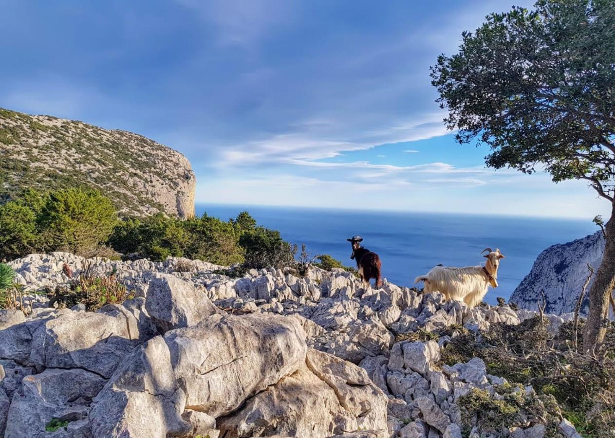 Appartamento Tra Mare E Montagna バウネーイ エクステリア 写真